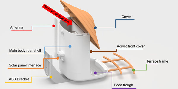 Bird feeder with camera and AI bird recognition for the garden