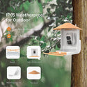 Bird feeder with camera and AI bird recognition for the garden