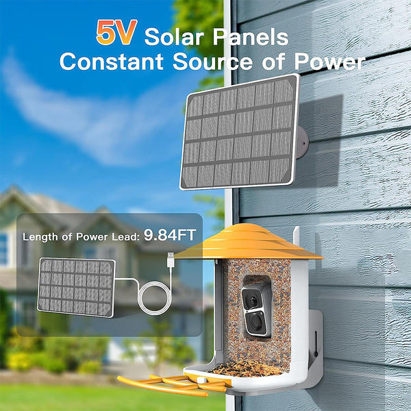 Bird feeder with camera and AI bird recognition for the garden