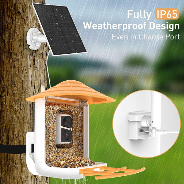Bird feeder with camera and AI bird recognition for the garden