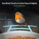 Bird feeder with camera and AI bird recognition for the garden