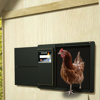 Automatischer Hühnerhautöffner mit Hühnerhaut – Luxusmodell – Metall mit Akku, Solarzellen und einfacher Programmierung