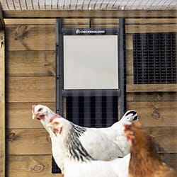 Hühnerleine für Hühnerställe - Chicken Guard
