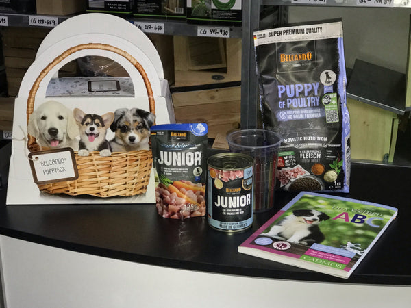 Belcando puppy box with products
